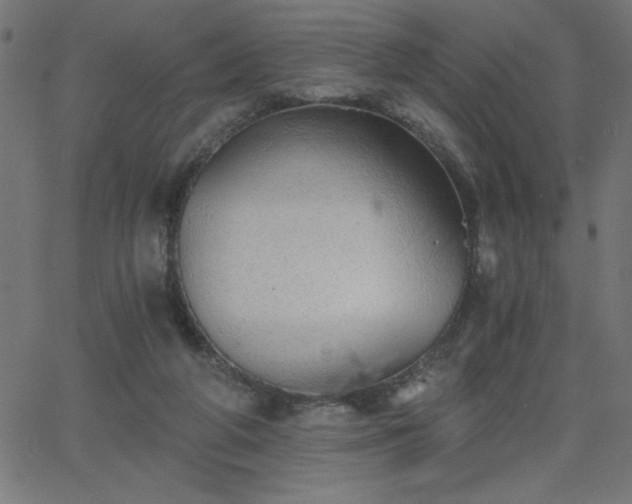 X0000068750210200605010945