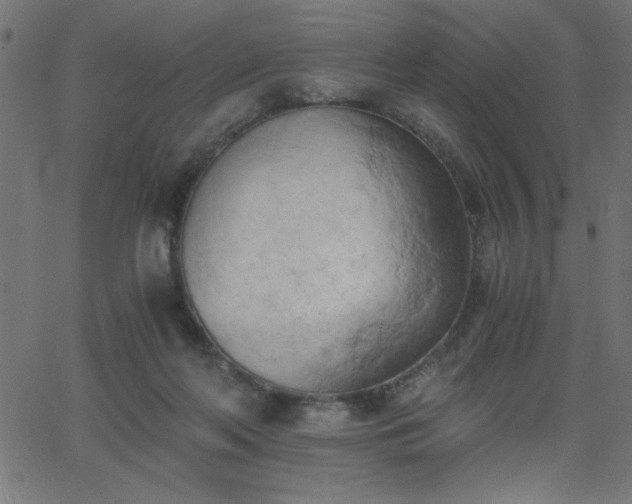 X0000068750214200605010944