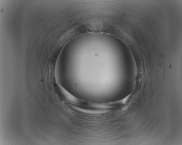 X0000068750233200605010944