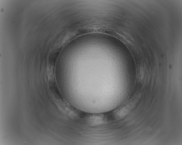 X0000068750236200605010944