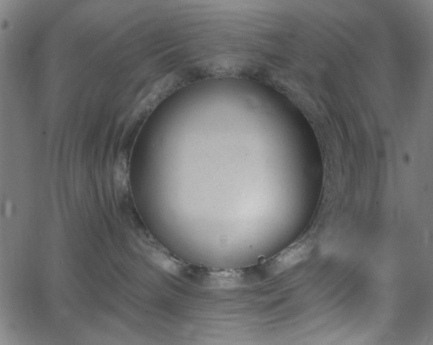 X0000068750240200605010944