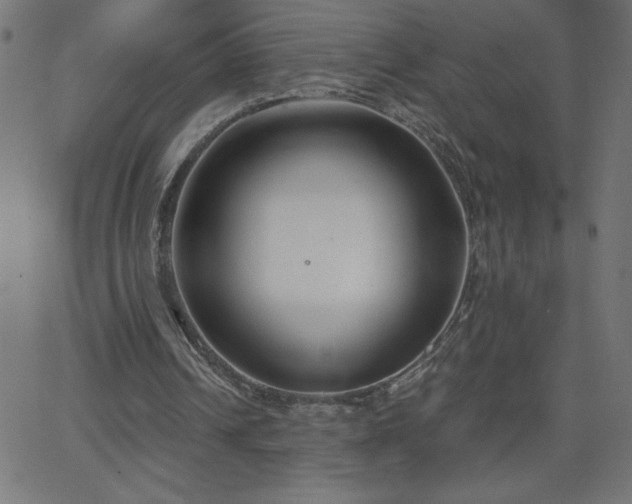 X0000068750242200605010943