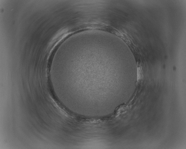X0000068750243200605010943