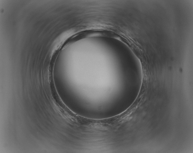X0000068750244200605010943
