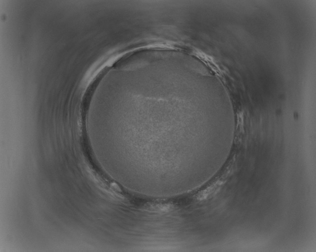 X0000068750247200605010943