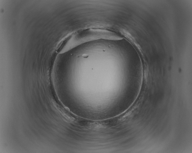 X0000068750249200605010943