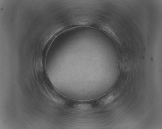 X0000068750251200605010943