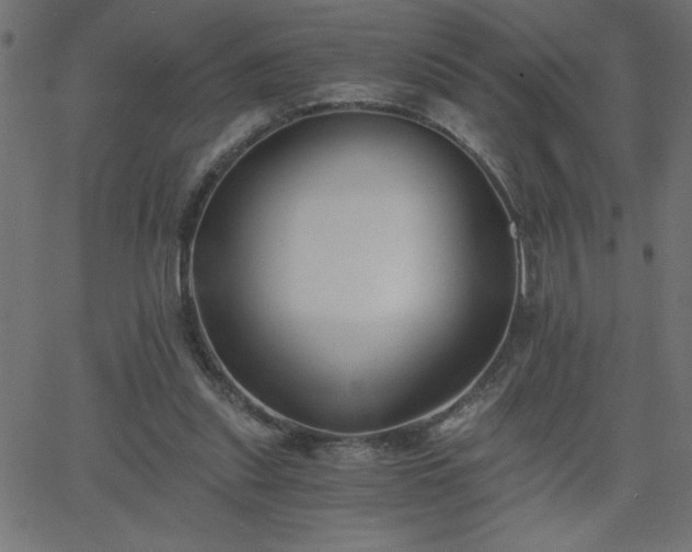 X0000068750253200605010943