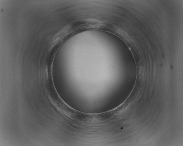 X0000068750254200605010944