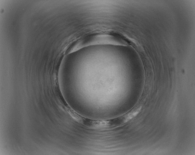 X0000068750288200605010944