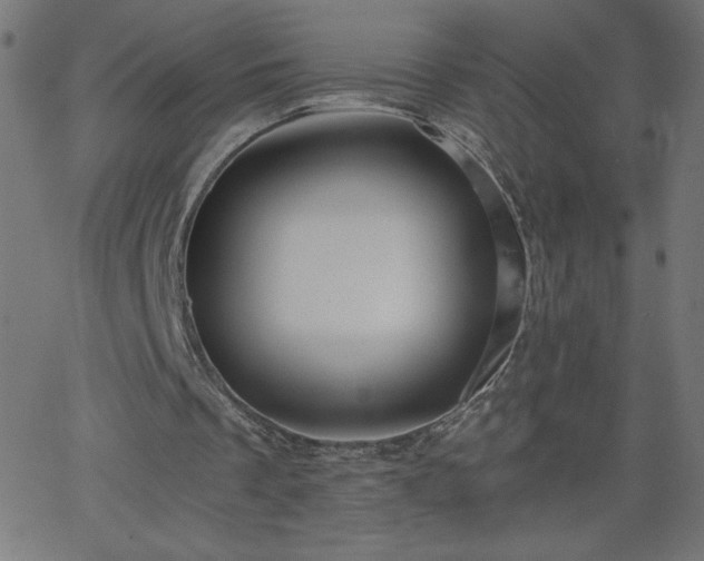 X0000068750289200605010943