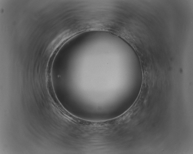 X0000068750290200605010943