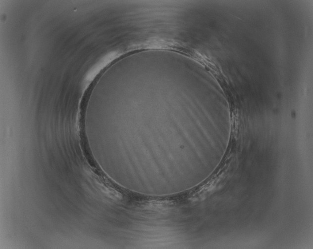 X0000068750292200605010943