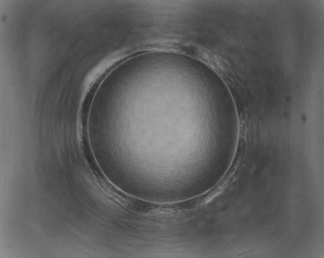 X0000068750294200605010943