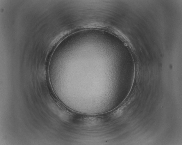 X0000068750298200605010943