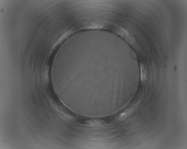 X0000068750300200605010943