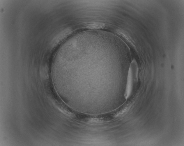 X0000068750303200605010943