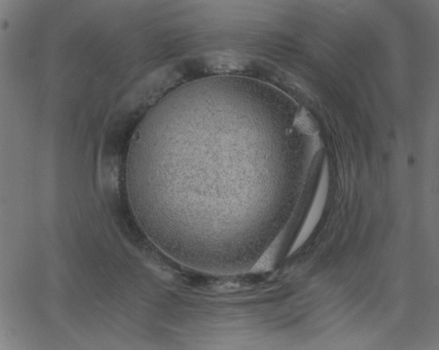X0000068750315200605010943