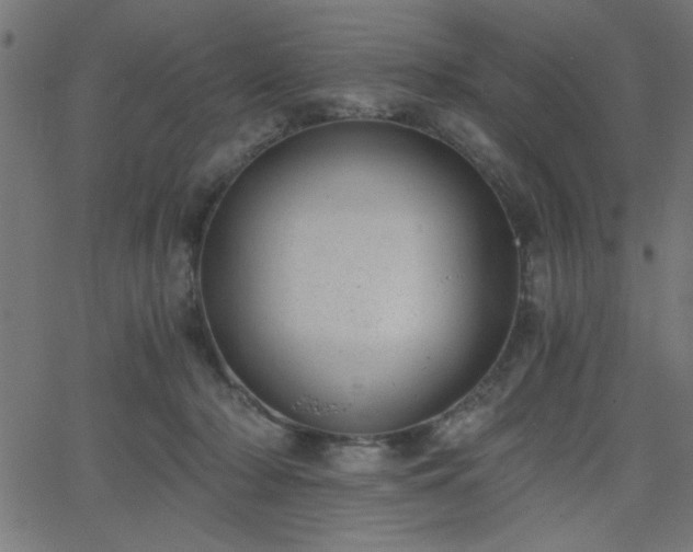 X0000068750318200605010943