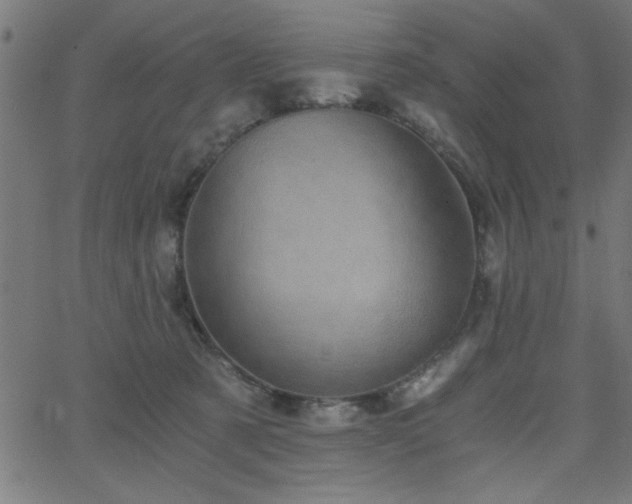 X0000068750321200605010943