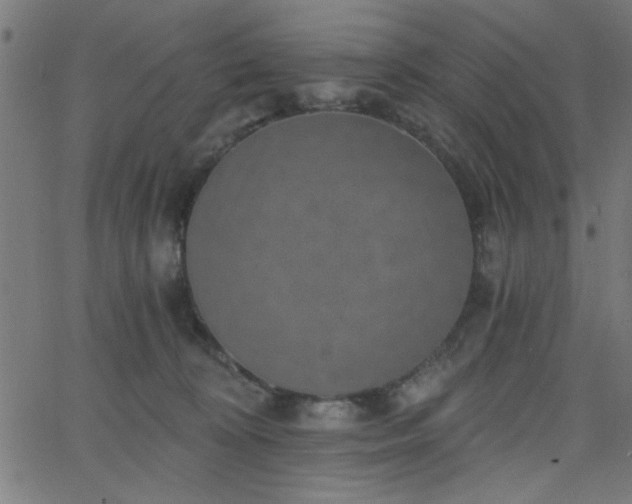 X0000068750324200605010943