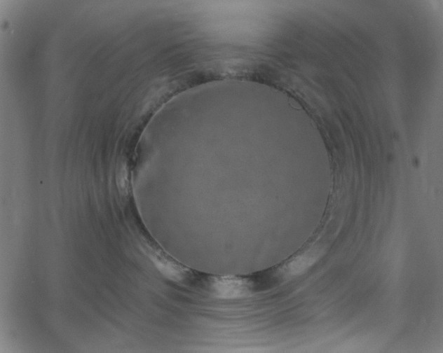 X0000068750336200605010942