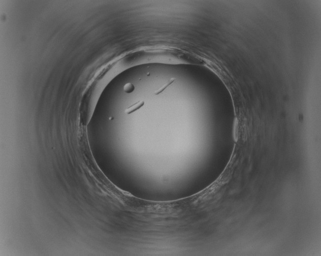 X0000068750338200605010942