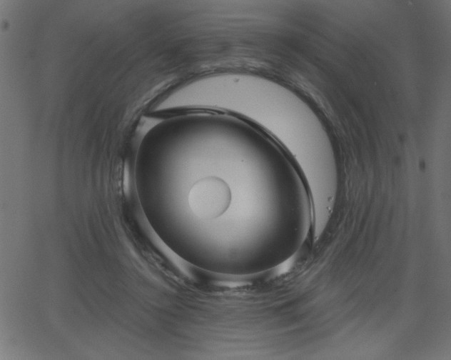 X0000068750356200605010942