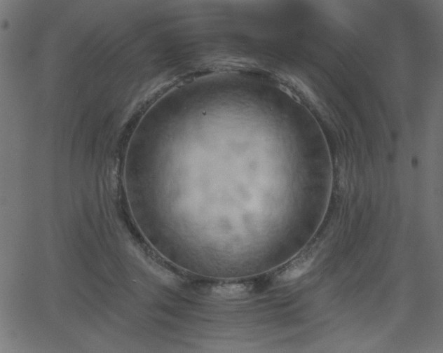 X0000068750357200605010942