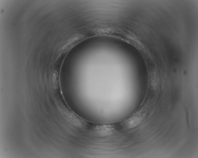 X0000068750378200605010942