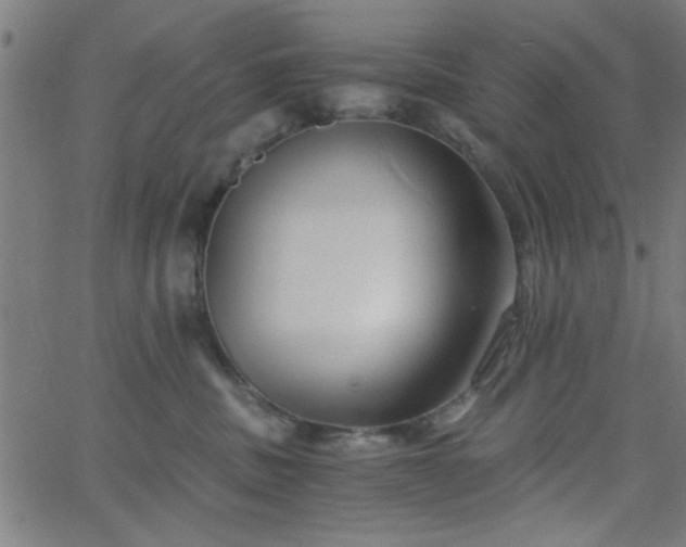 X0000068750379200605010942