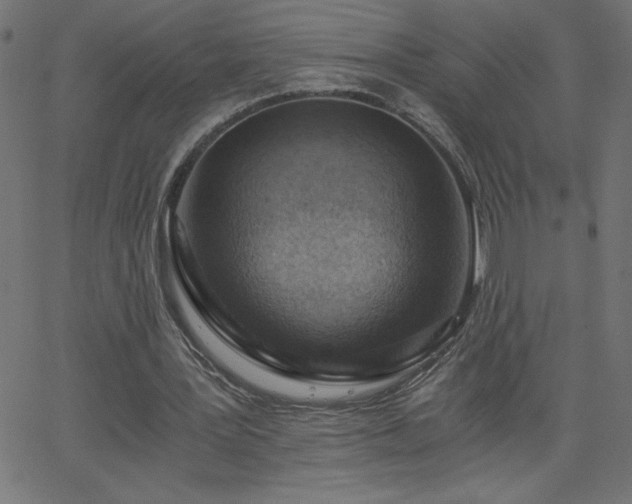 X0000068750387200605010941