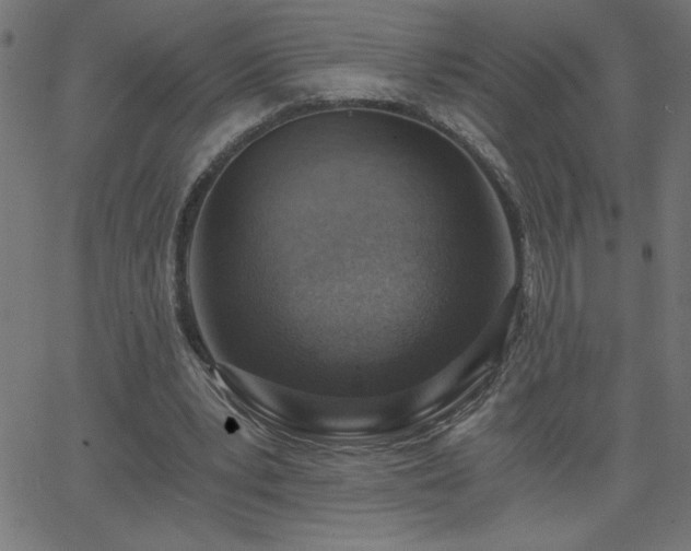 X0000068750391200605010941