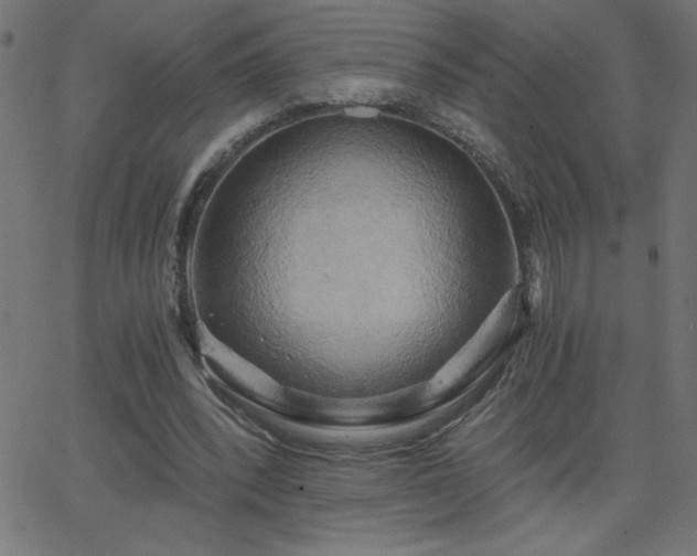 X0000068750392200605010941