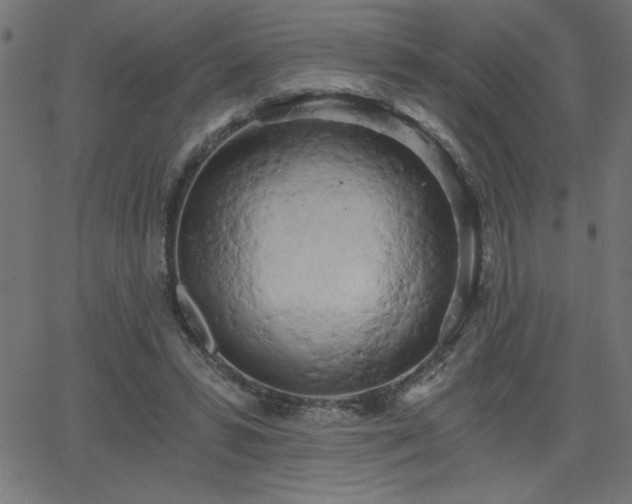 X0000068750399200605010941