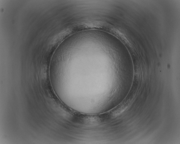 X0000068750402200605010941
