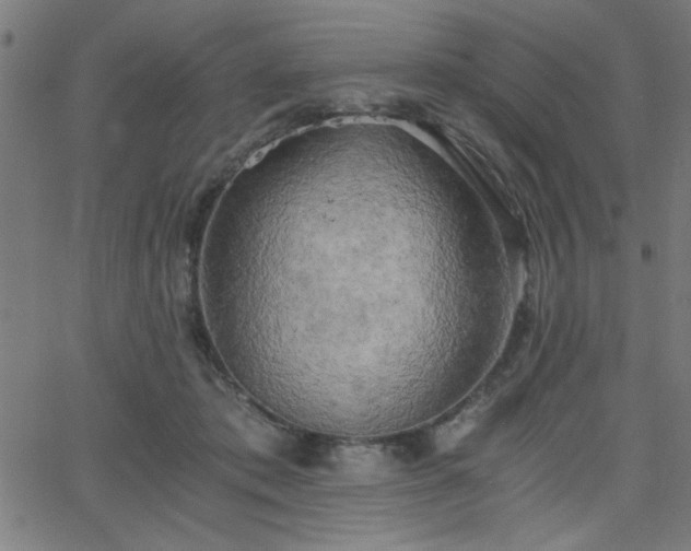 X0000068750413200605010941