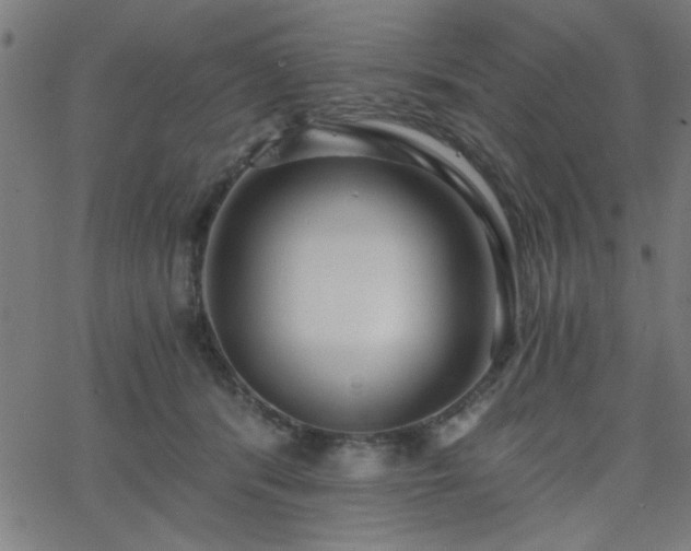 X0000068750416200605010941
