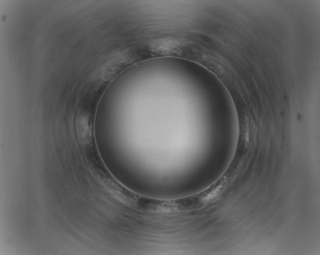 X0000068750420200605010941