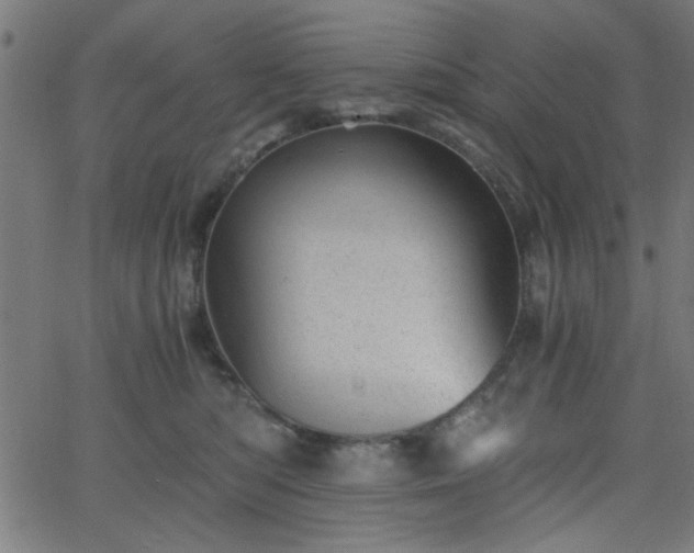 X0000068750422200605010941