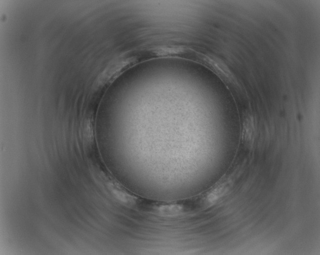 X0000068750426200605010941