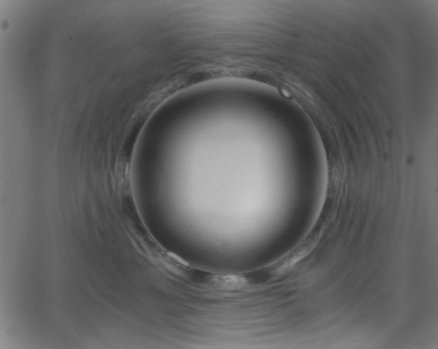 X0000068750429200605010941