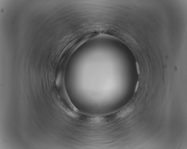 X0000068750432200605010941