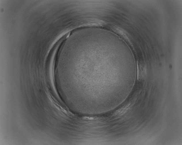 X0000068750435200605010940