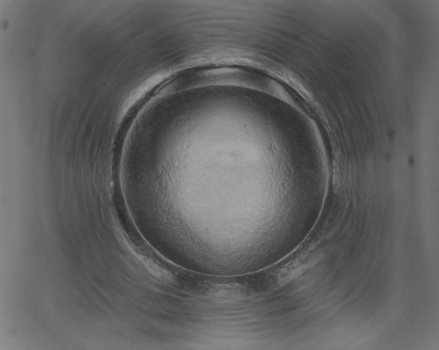 X0000068750438200605010940