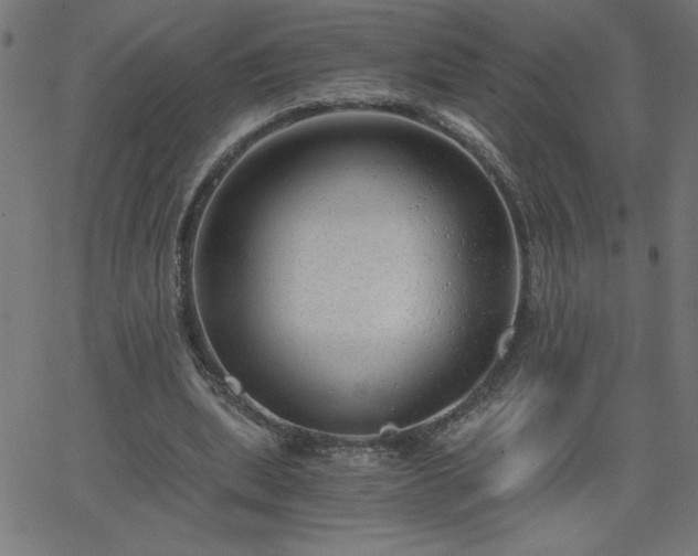 X0000068750439200605010940