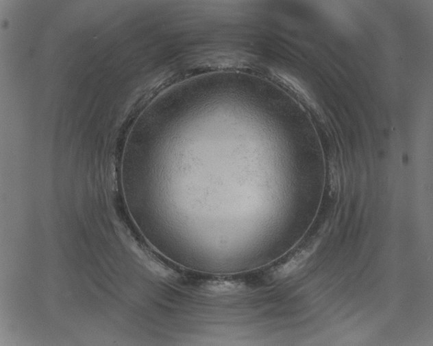 X0000068750453200605010940