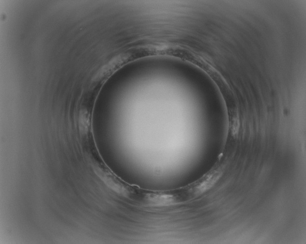 X0000068750476200605010941