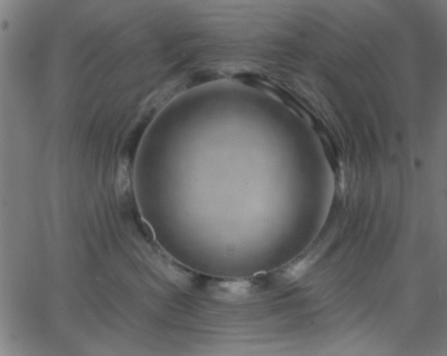 X0000068750478200605010941