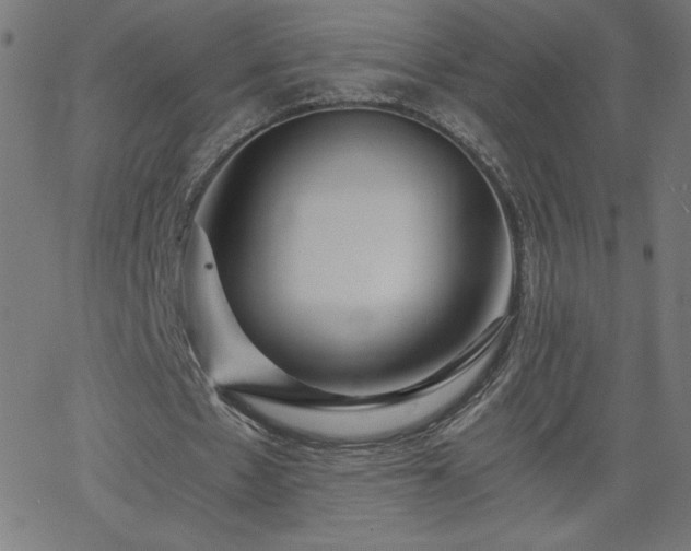 X0000068750481200605010940
